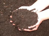 Compost